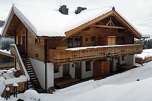 Skihut in Austria