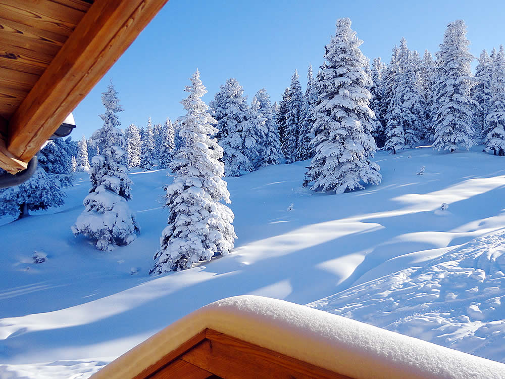 Chalet Austria Christmas 2024 Dates Allys